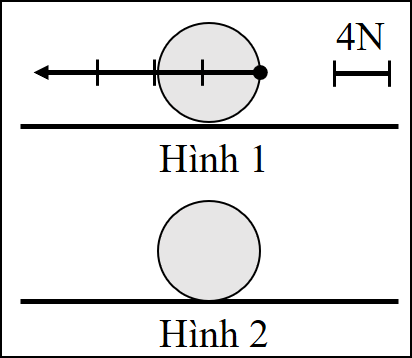 Hình 1: lực đẩy bóng theo phương ngang sang trái, tỉ xích4N; hình2: bóng trên sân.