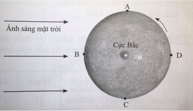 Mô hình Trái Đất nhìn từ cực Bắc, chiều tự quay, hướng ánh sáng Mặt Trời và bốn vị trí A, B, C, D.