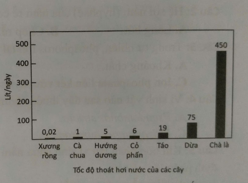 Biểu đồ tốc độ thoát hơi nước theo lít mỗi ngày của bảy loài cây.