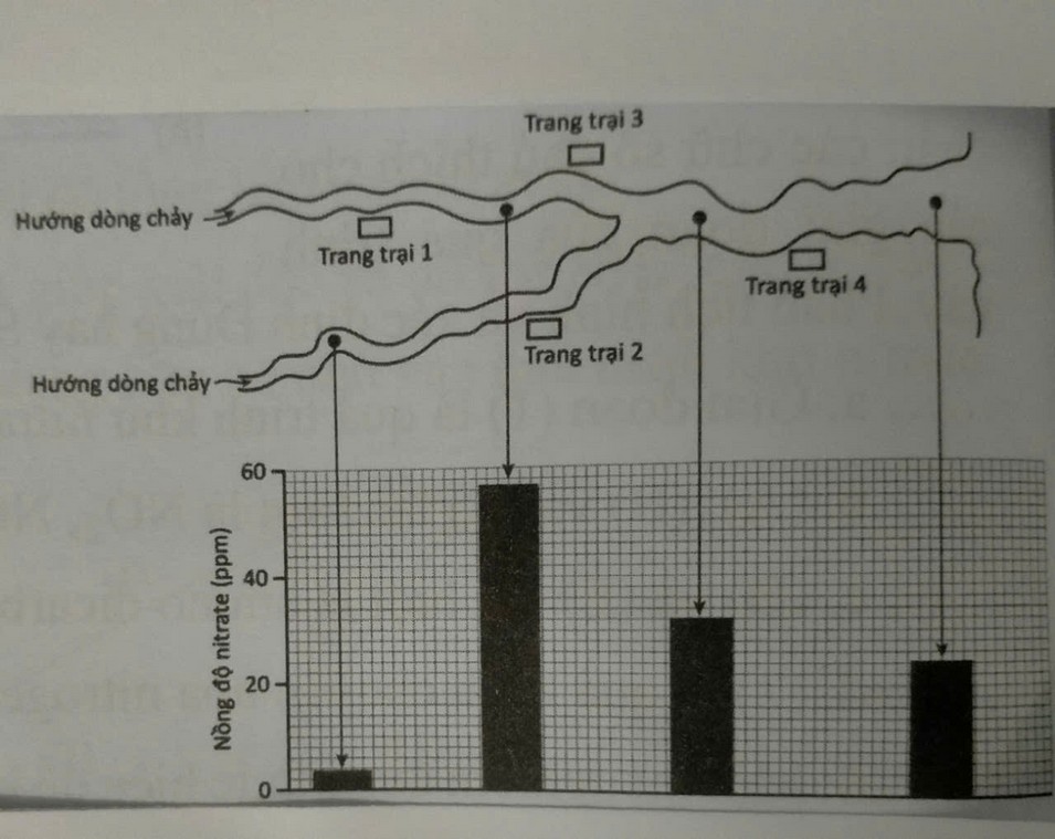 Vị trí bốn trang trại, hướng dòng chảy và nồng độ nitrate trên sông.