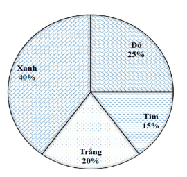 Biểu đồ màu yêu thích: xanh 40%, đỏ 25%, tím 15%, trắng 20%
