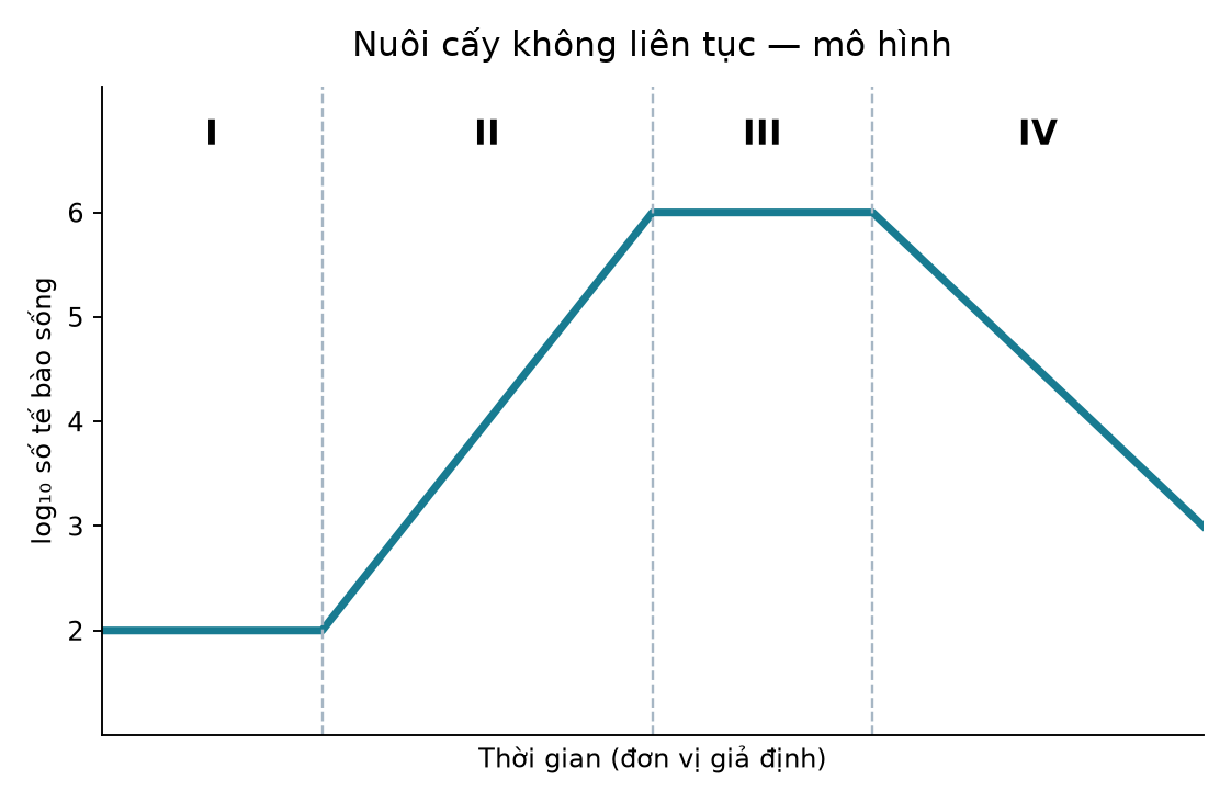 Đường cong bốn pha sinh trưởng của vi sinh vật trong nuôi cấy không liên tục