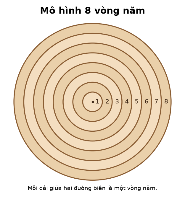 Mặt cắt thân gỗ có tám vòng năm được đánh số từ một đến tám