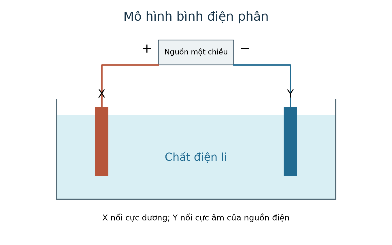 Bình điện phân: X nối cực dương của nguồn là anode, Y nối cực âm là cathode; hai điện cực tiếp xúc chất điện li.