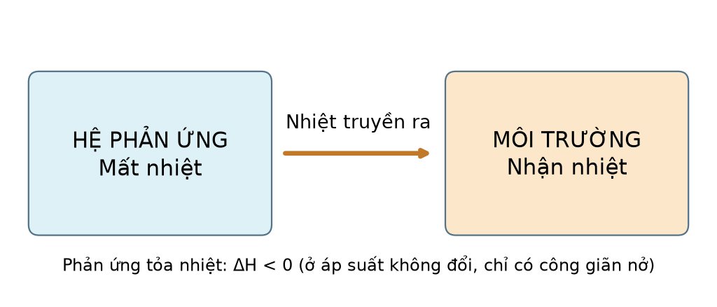Nhiệt truyền từ hệ phản ứng ra môi trường trong phản ứng tỏa nhiệt, ΔH âm ở điều kiện đã ghi.