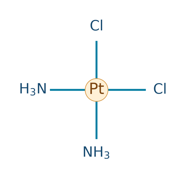Mô hình vuông phẳng của cisplatin: Pt ở tâm, hai Cl ở vị trí kề nhau, hai NH3 ở hai vị trí còn lại.