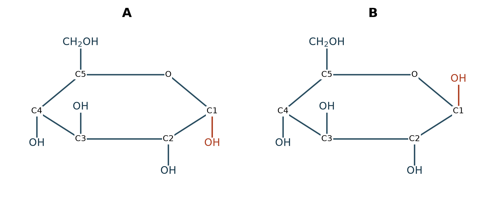 Hai dạng vòng D-glucose: A là α, B là β. Khác nhau ở chiều –OH tại C1; các H không vẽ được hiểu theo hóa trị của carbon.
