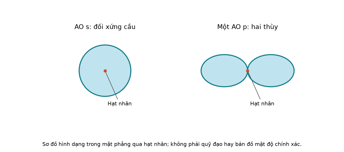 Sơ đồ AO s đối xứng cầu và một AO p có hai thùy; hạt nhân ở giữa, hình không phải quỹ đạo hay bản đồ mật độ chính xác.