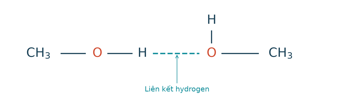 Hai phân tử methanol: nét đứt từ H của OH ở phân tử thứ nhất đến O phân tử thứ hai là liên kết hydrogen.