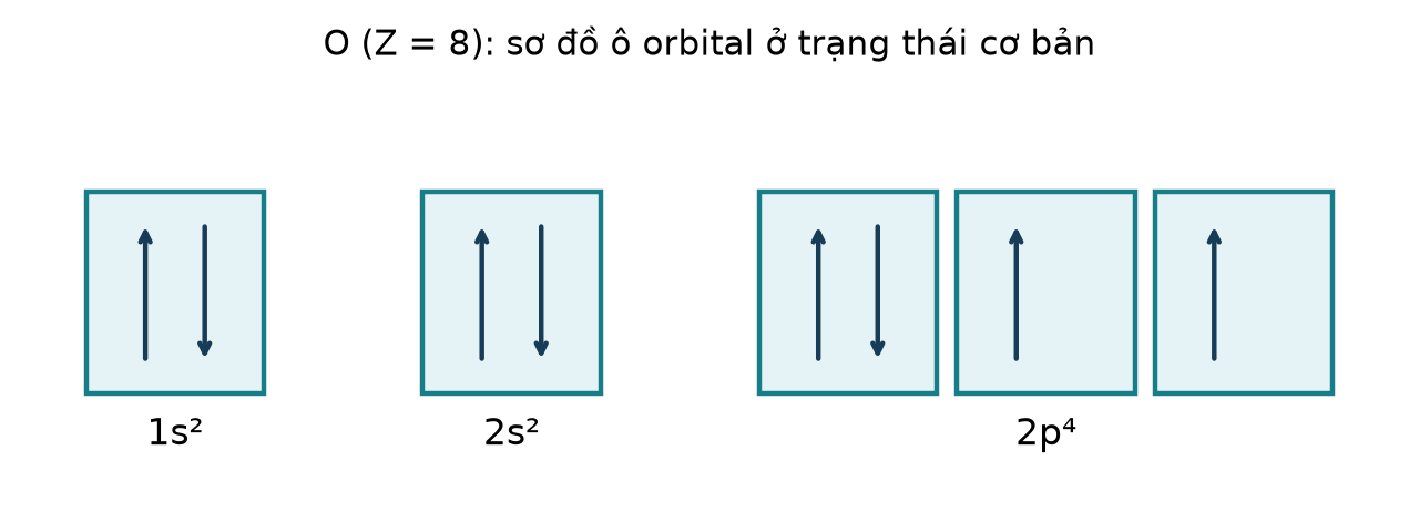 O ở trạng thái cơ bản1s²2s²2p⁴:1s,2s ghép đôi; ba ô 2p có lần lượt2,1,1 electron, hai electron độc thân.