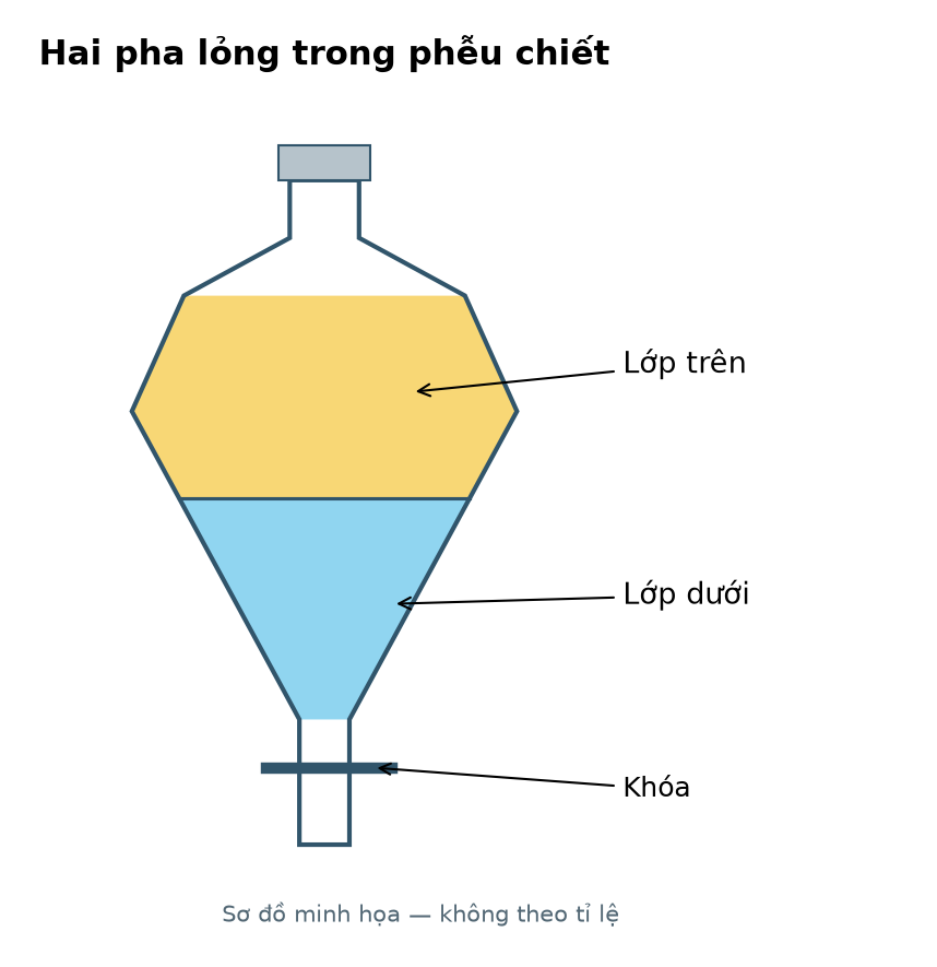 Phễu chiết gồm lớp lỏng trên, lớp lỏng dưới và khóa tháo ở đáy; màu chỉ minh họa vị trí hai pha, không quy định mọi dung môi hữu cơ ở trên.