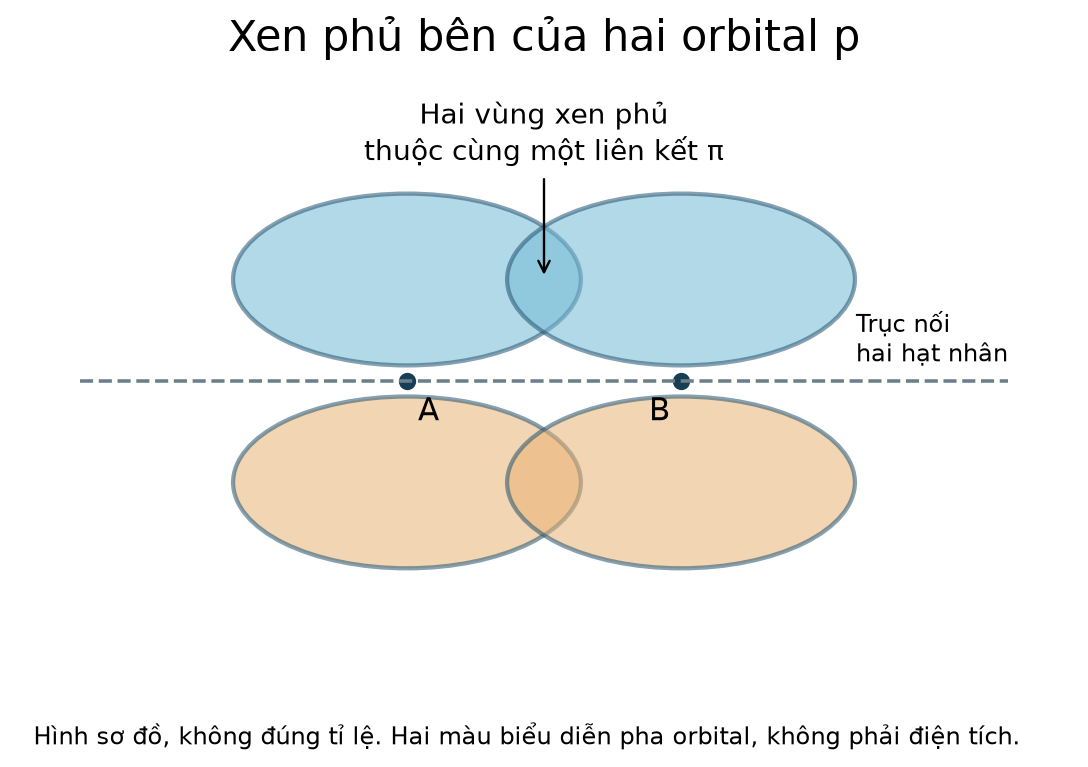 Hai orbital p xen phủ bên tạo một liên kết pi; hai vùng xen phủ thuộc cùng một liên kết.