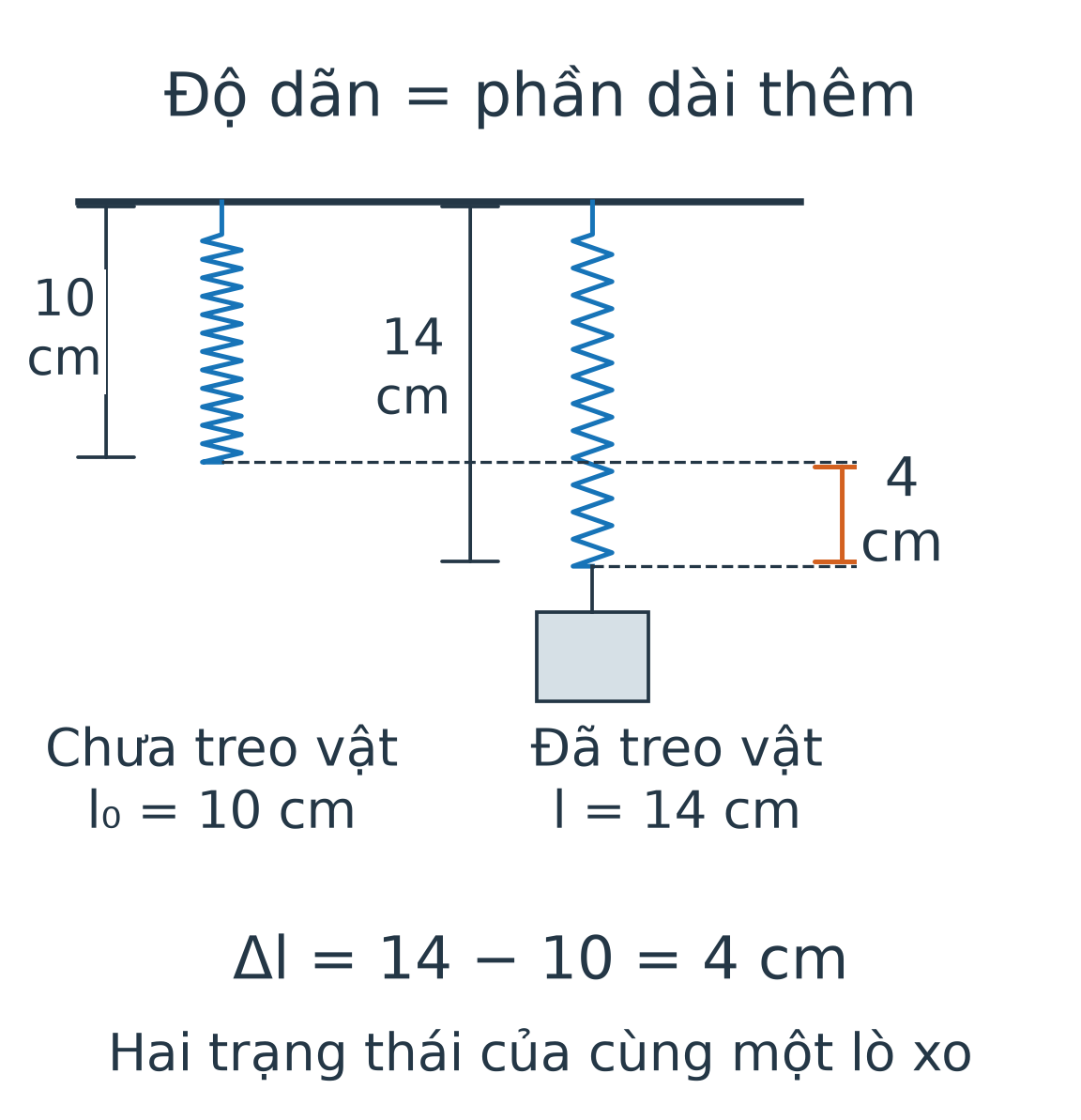 So sánh lò xo không treo vật dài 10 cm với khi treo vật dài 14 cm; phần dài thêm 4 cm được đánh dấu từ mức đầu dưới ban đầu đến đầu dưới mới.