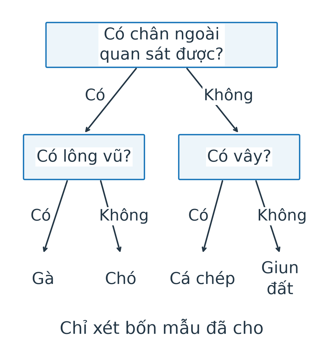 Khóa cho gà, chó, cá chép và giun đất: tách theo chân ngoài, tiếp theo lông vũ hoặc vây, mỗi bước có nhánh có và không.