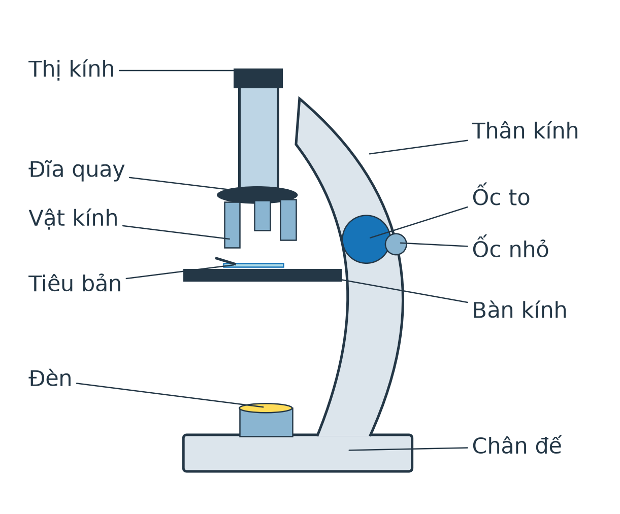 Sơ đồ kính hiển vi có thị kính, vật kính, bàn kính, đèn, ốc to, ốc nhỏ, thân và chân đế.