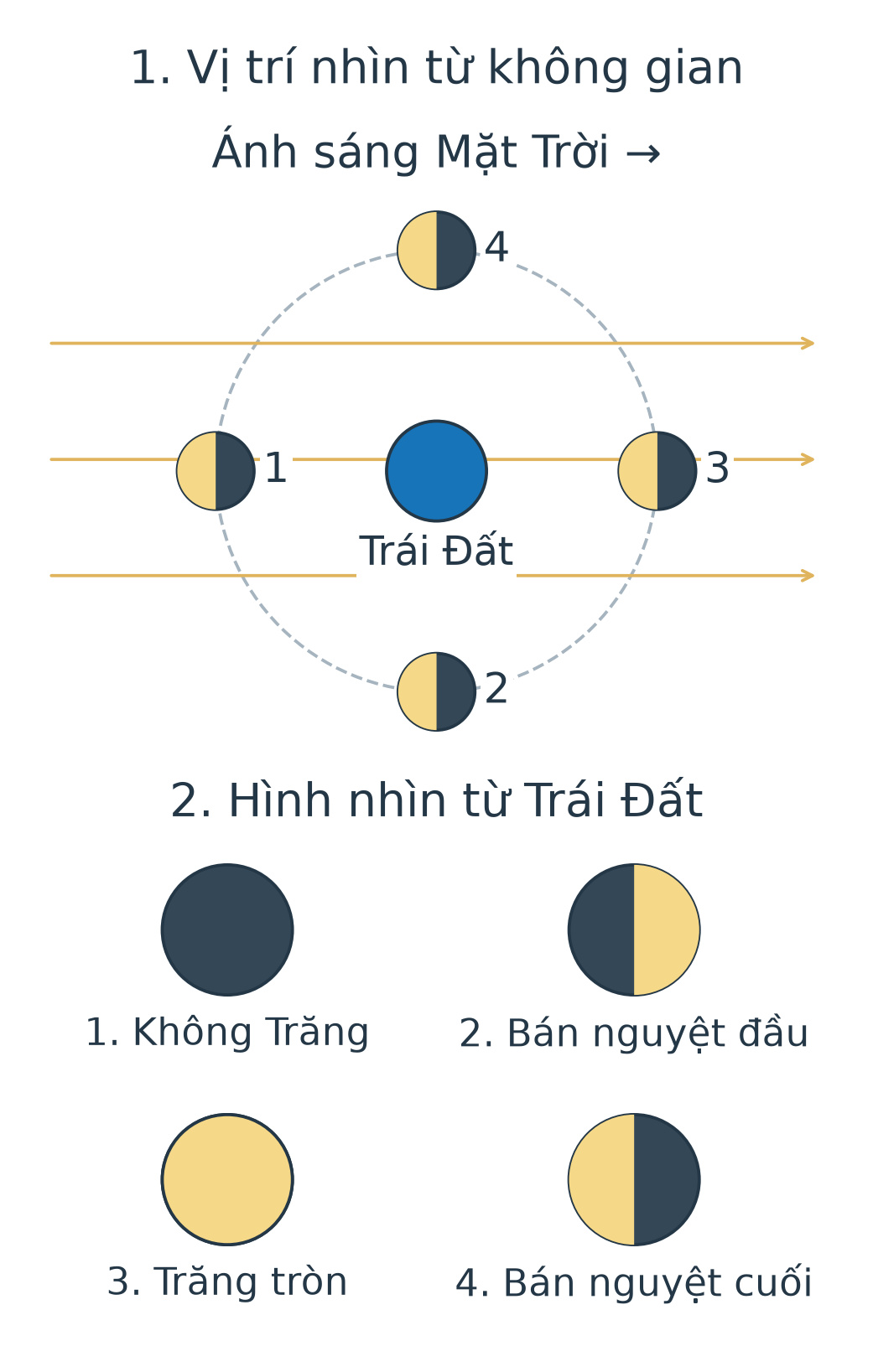 Bốn vị trí Mặt Trăng quanh Trái Đất với ánh sáng từ trái; phần sáng của mọi quả cầu hướng trái. Bên dưới là đĩa Trăng nhìn từ Trái Đất: không Trăng, bán nguyệt đầu, tròn, bán nguyệt cuối.
