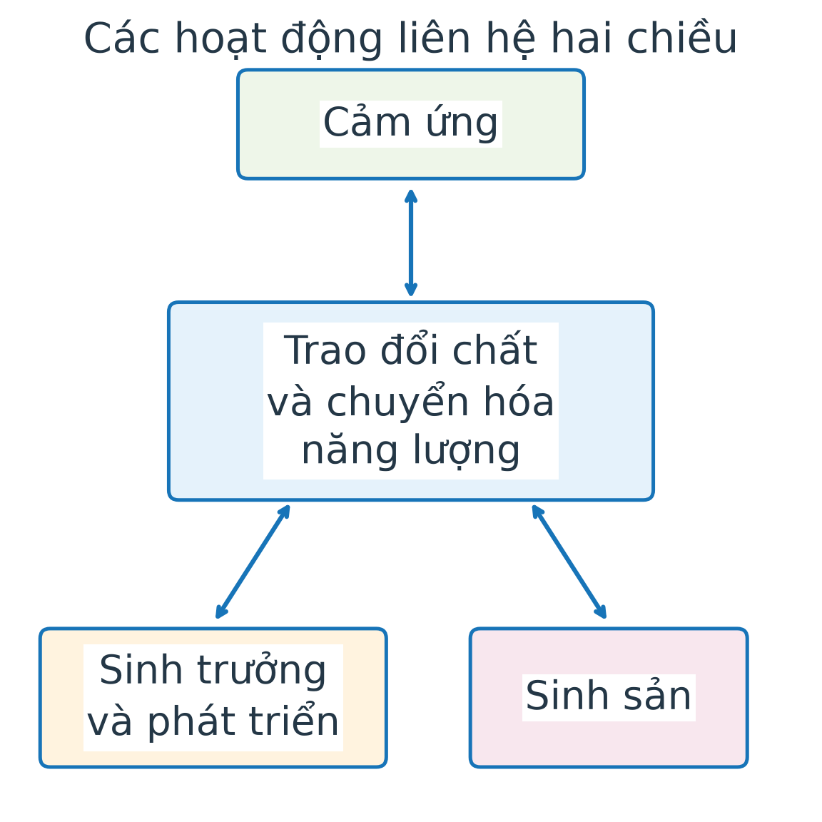 Trao đổi chất và chuyển hóa năng lượng ở giữa, liên hệ hai chiều với cảm ứng, sinh trưởng và phát triển, sinh sản.