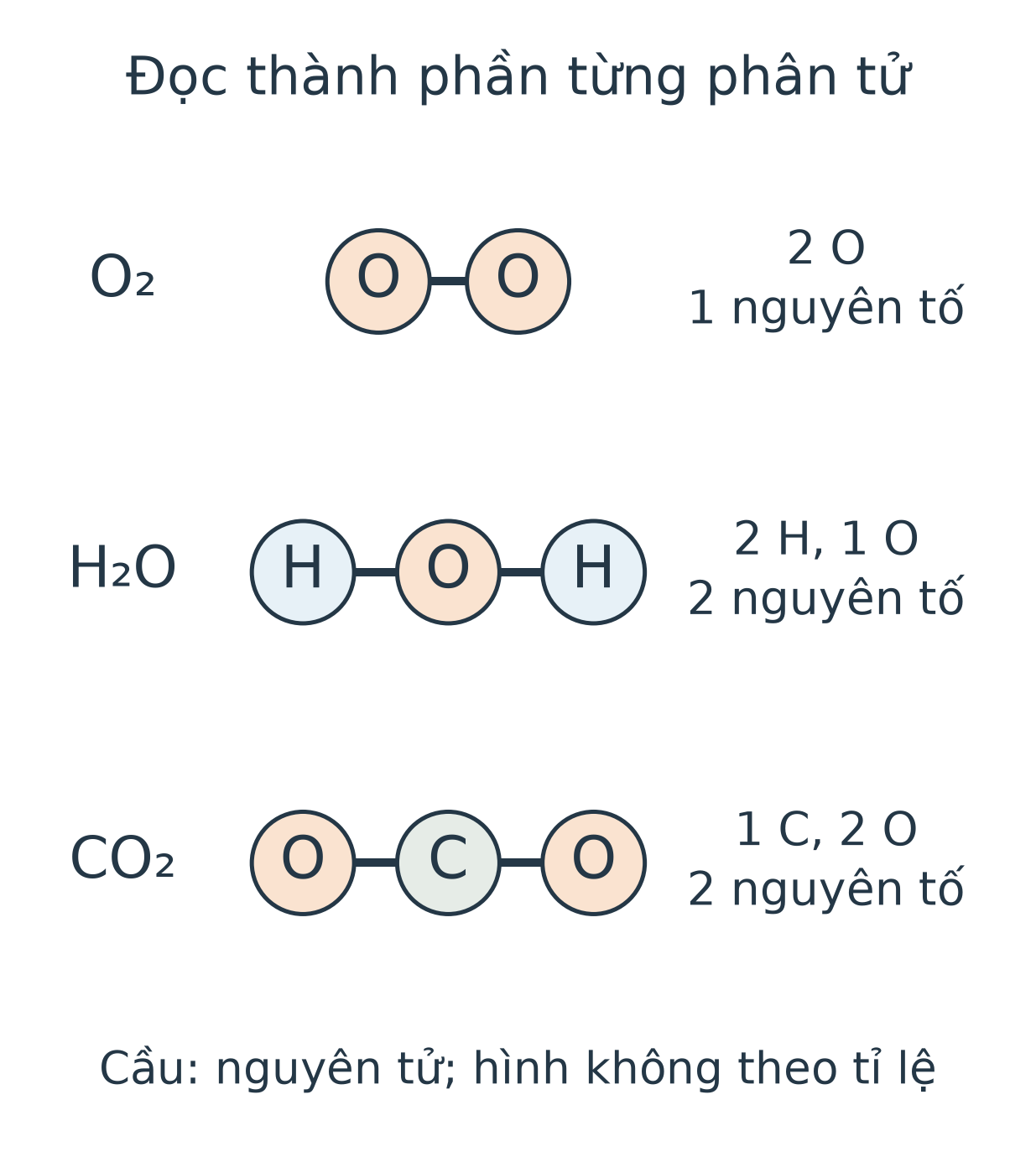 Ba mô hình: O₂ gồm hai O; H₂O gồm hai H và một O; CO₂ gồm một C và hai O. Mỗi nguyên tử có kí hiệu rõ.