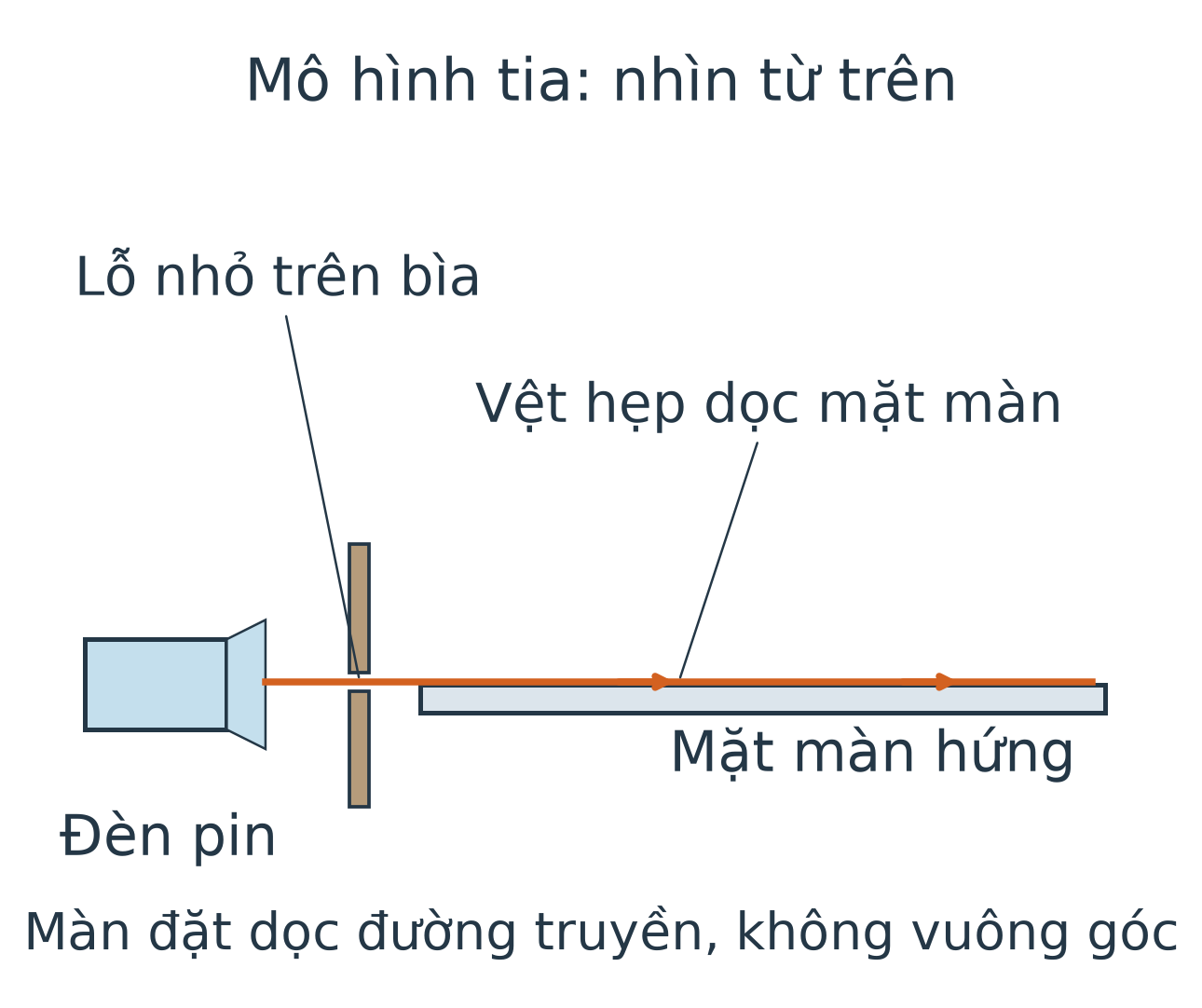Nhìn từ trên: đèn pin chiếu qua lỗ nhỏ trên bìa vào sát mặt màn đặt dọc chiều truyền. Vệt sáng hẹp thẳng nằm trên mặt màn, không phải màn vuông góc chỉ nhận một đốm sáng.
