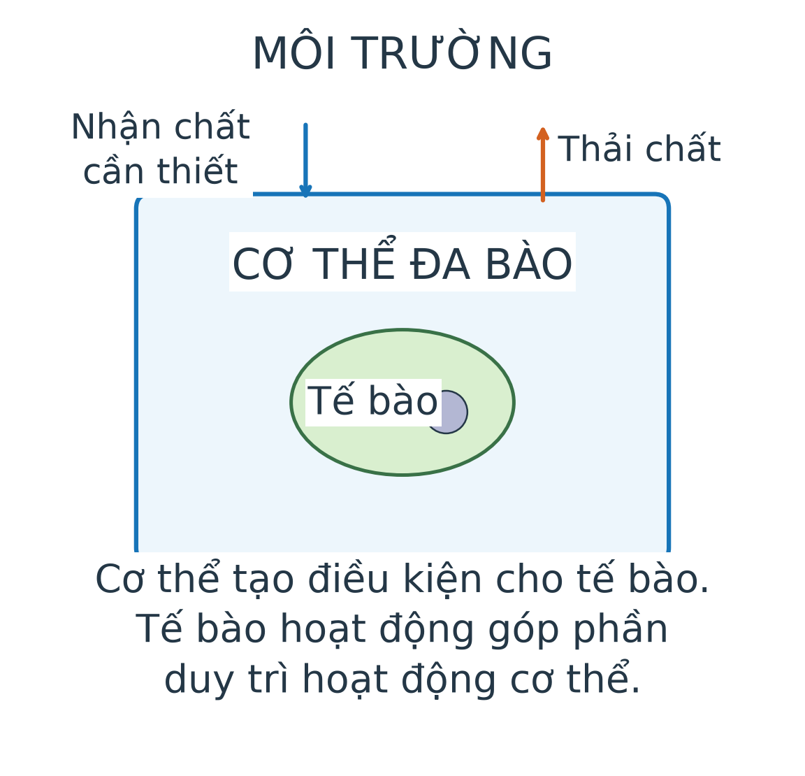 Tế bào nằm trong cơ thể đa bào; cơ thể trao đổi chất với môi trường bên ngoài.