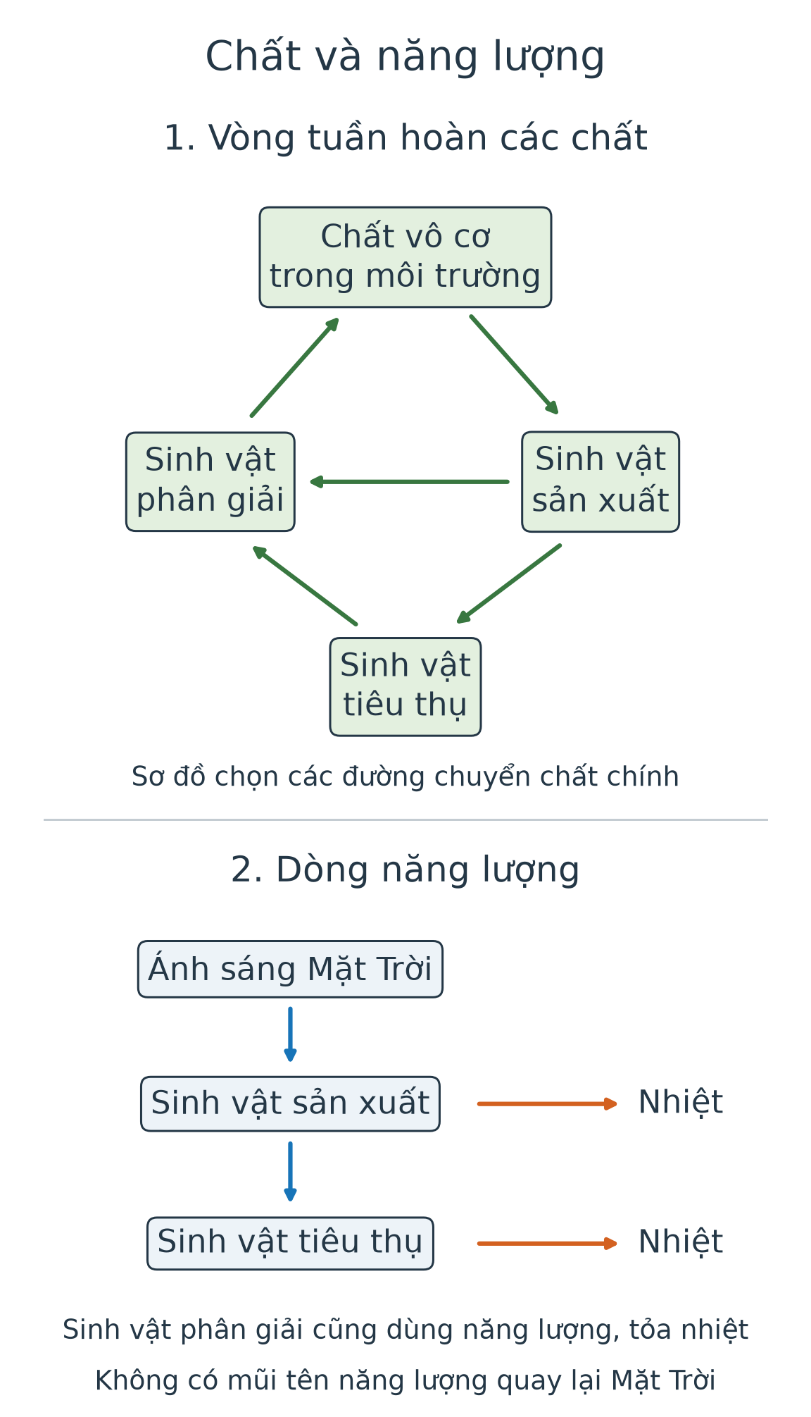 Hai sơ đồ tách riêng: vòng chất từ môi trường đến sản xuất, tiêu thụ, phân giải rồi về môi trường; dòng năng lượng ánh sáng đến sản xuất, tiêu thụ, có các nhánh nhiệt, không quay lại Mặt Trời.
