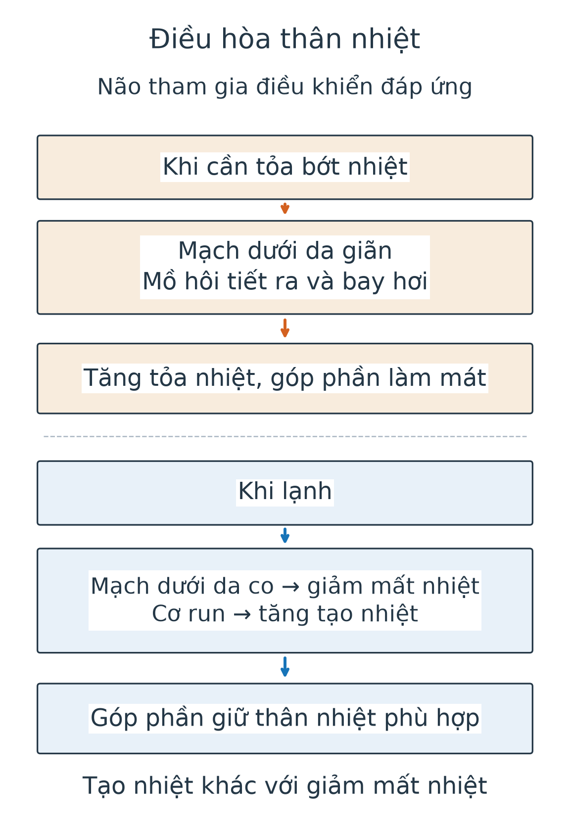 Hai nhánh điều hòa do não tham gia điều khiển: khi cần tỏa nhiệt, mạch dưới da giãn và mồ hôi bay hơi giúp tỏa nhiệt; khi lạnh, mạch co giảm mất nhiệt, cơ run tăng tạo nhiệt.
