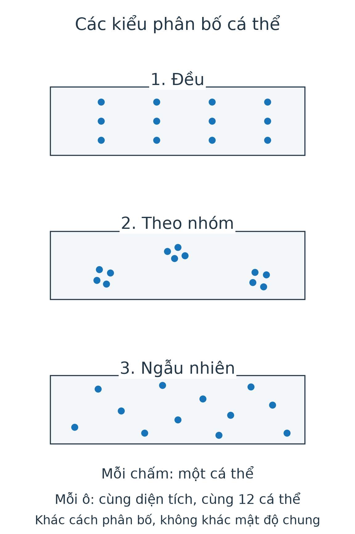 Ba ô minh họa cùng 12 chấm:phân bố đều thành lưới, theo nhóm thành ba cụm, ngẫu nhiên không có lưới hay cụm rõ; chấm là cá thể.