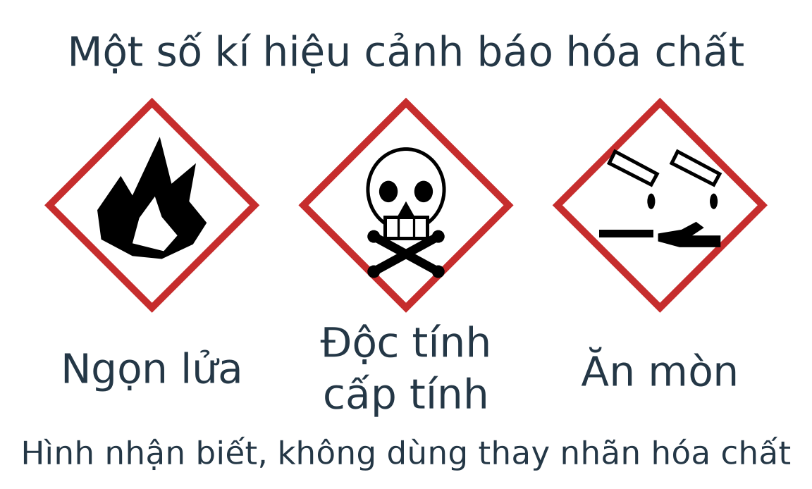 Ba dạng kí hiệu khung đỏ nền trắng: ngọn lửa, đầu lâu và xương chéo, chất lỏng ăn mòn tay và kim loại.