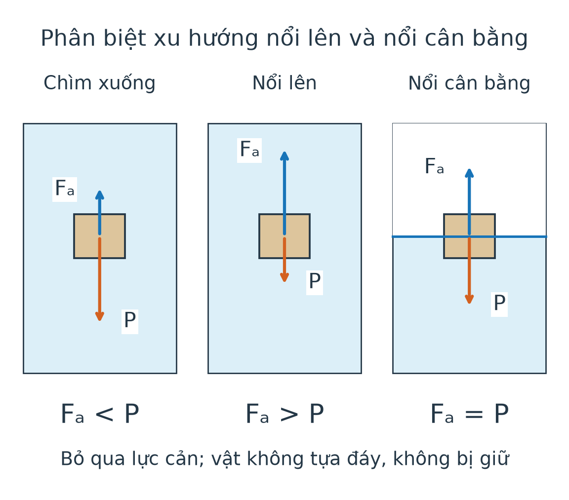 Ba sơ đồ: lực đẩy hướng lên nhỏ hơn P khi chìm xuống, lớn hơn P khi nổi lên, bằng P khi nổi cân bằng trên mặt nước.