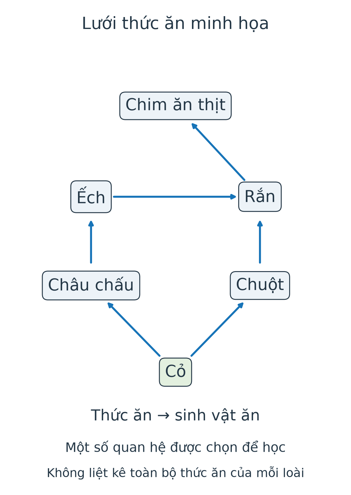 Lưới minh họa: cỏ đến châu chấu và chuột; châu chấu đến ếch; ếch và chuột đến rắn; rắn đến chim ăn thịt. Mũi tên từ thức ăn đến sinh vật ăn.