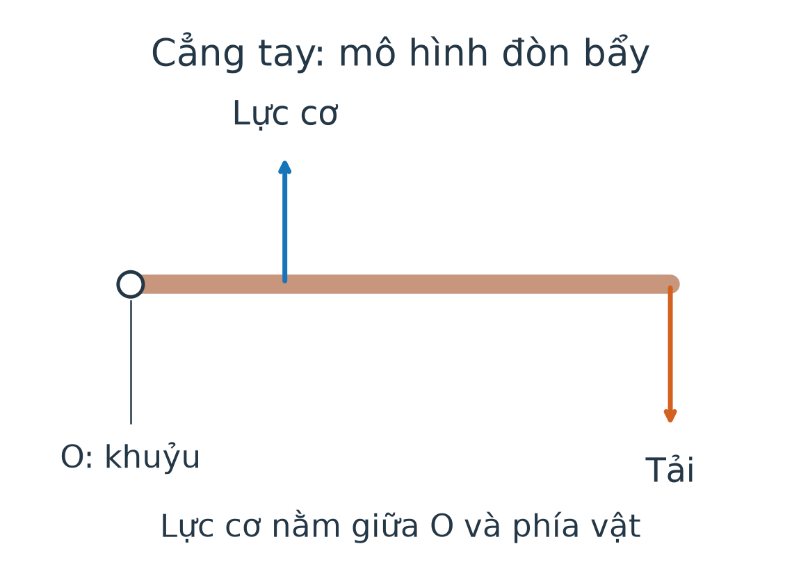 Mô hình cẳng tay: khớp khuỷu O, lực cơ lên gần O, tải ở bàn tay hướng xuống xa O.