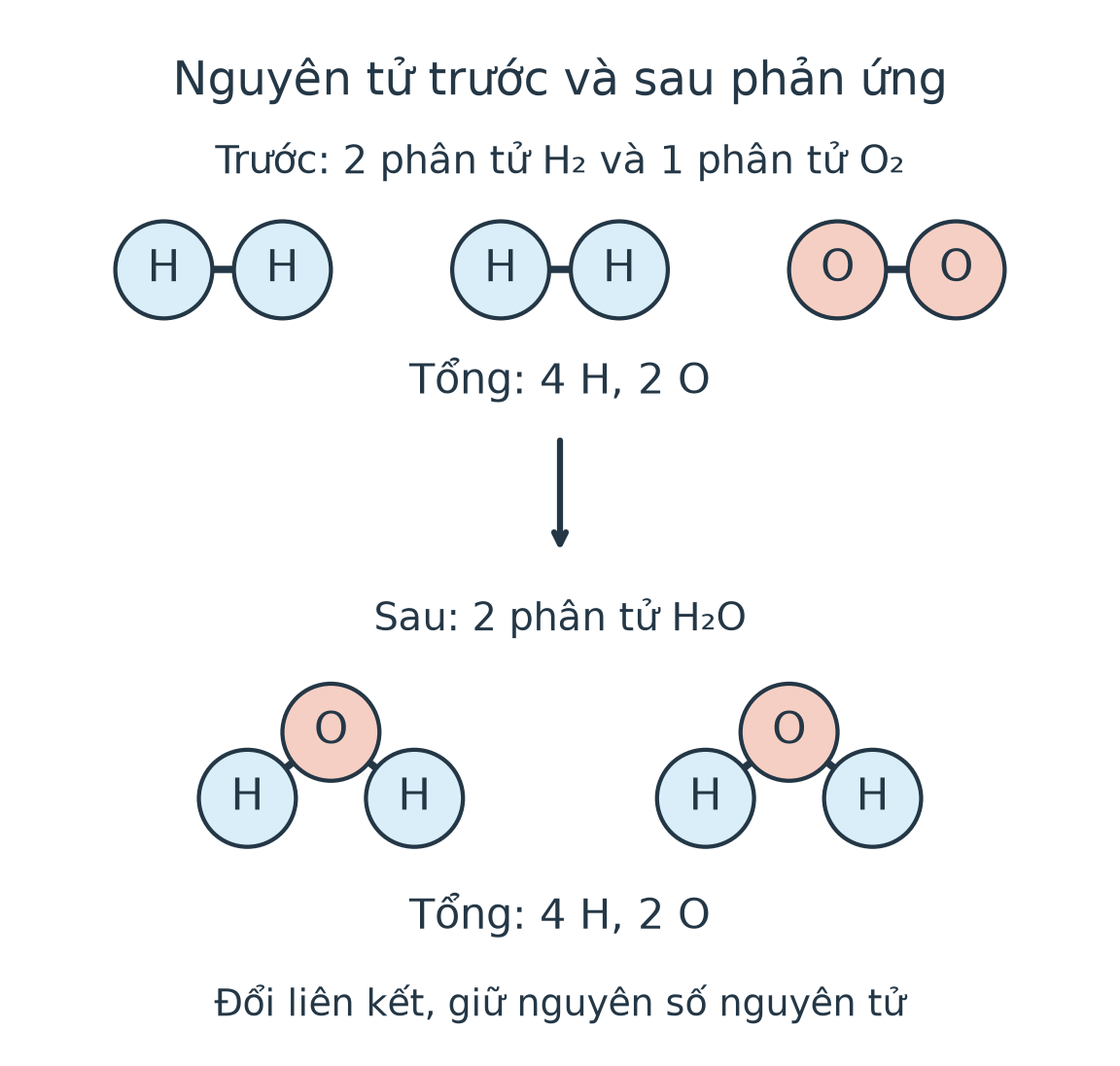 Trước phản ứng: hai phân tử hydrogen và một phân tử oxygen. Sau phản ứng: hai phân tử nước. Hai phía đều có bốn H và hai O.