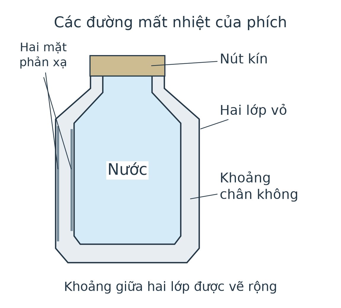 Mặt cắt ruột phích có nút, hai lớp vỏ, khoảng chân không và hai mặt phản xạ hướng vào khoảng này.