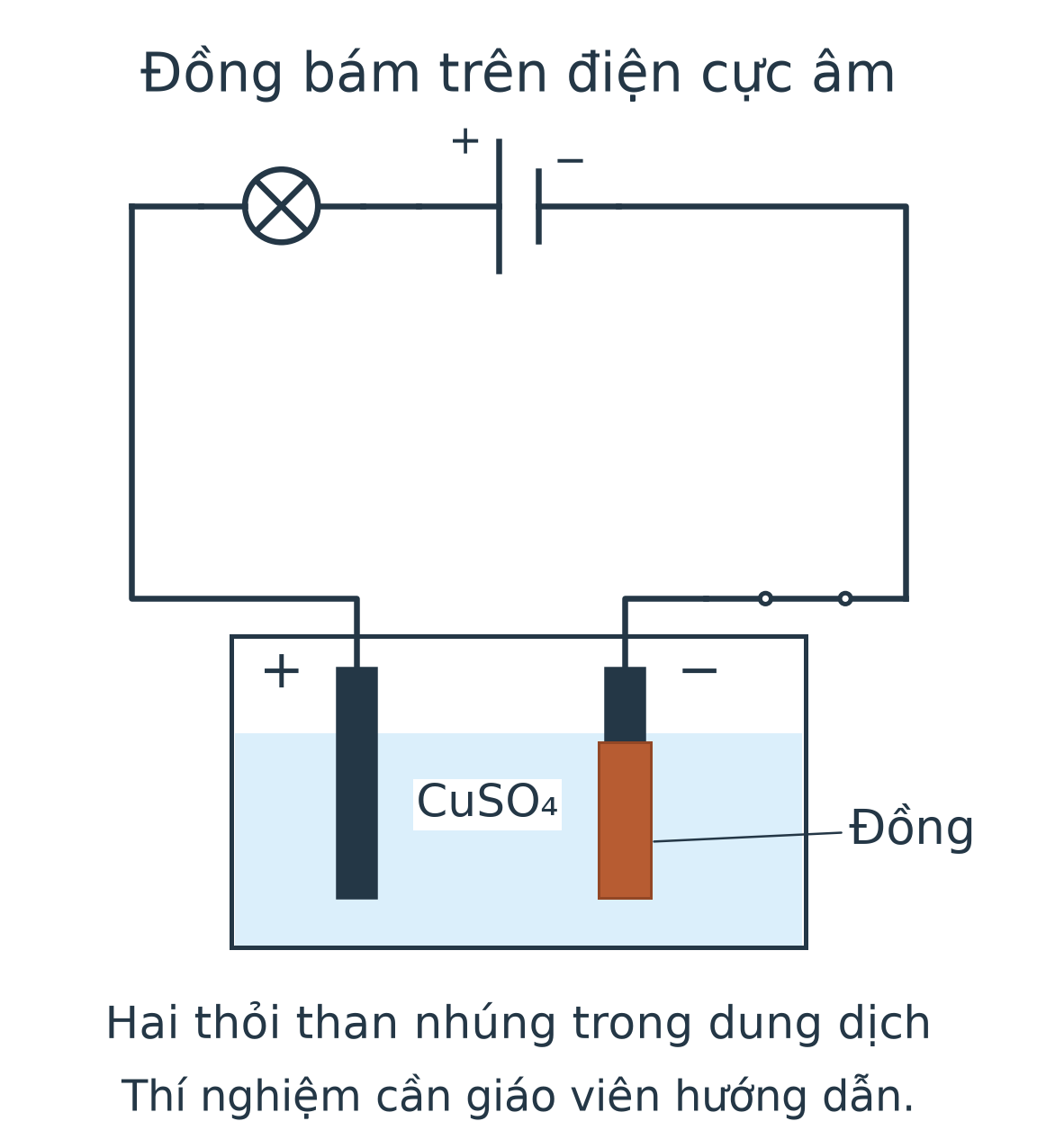 Hai điện cực than nhúng trong dung dịch CuSO4, nối với nguồn qua đèn và công tắc; điện cực nối cực âm có lớp đồng màu đỏ nâu.