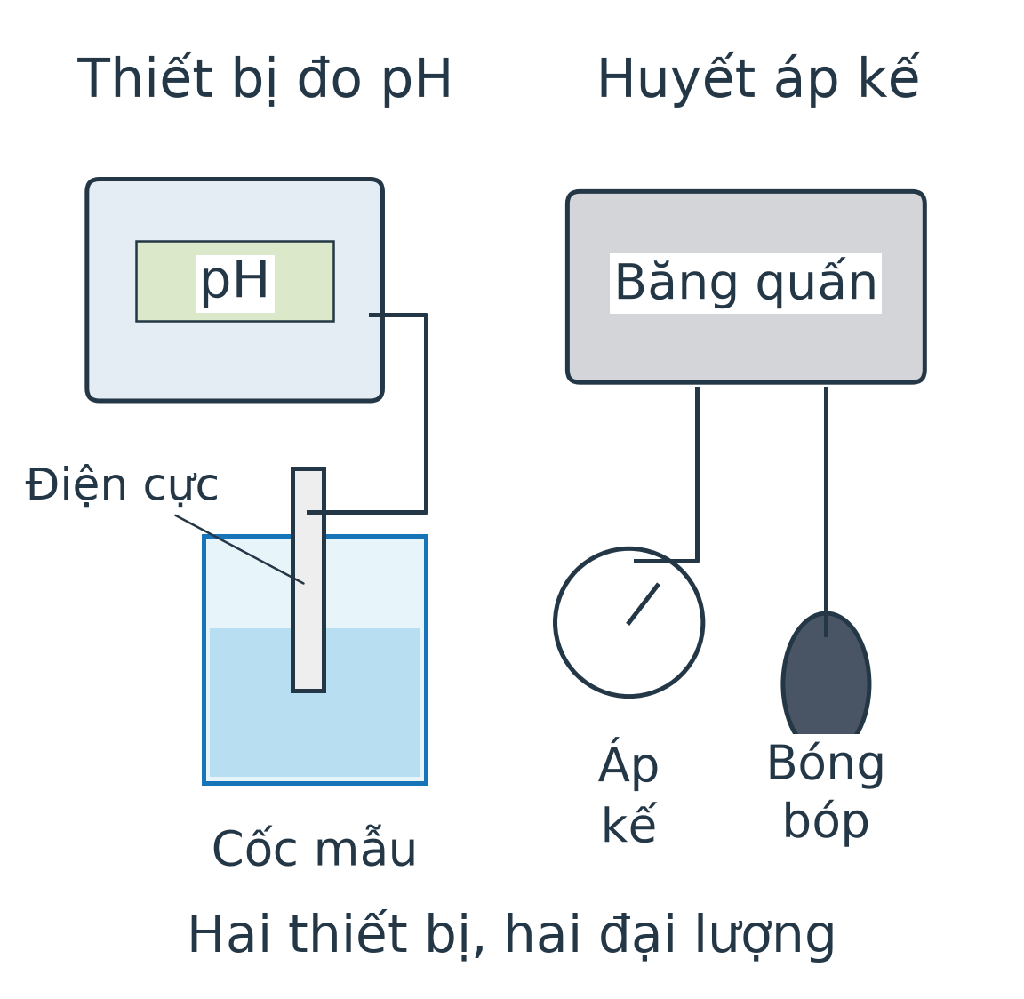 Bên trái mô hình máy đo pH có màn hình và điện cực trong cốc mẫu; bên phải huyết áp kế đồng hồ có băng quấn, áp kế và bóng bóp nối bằng ống.