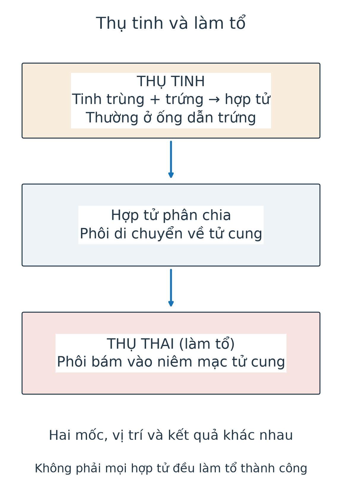 Sơ đồ trình tự: tinh trùng kết hợp với trứng trong ống dẫn trứng tạo hợp tử; hợp tử phân chia, phôi di chuyển tới tử cung; phôi bám niêm mạc và làm tổ, được gọi là thụ thai trong bài học.