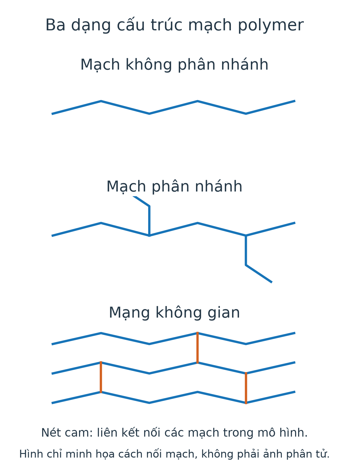 Ba mô hình mạch không phân nhánh, phân nhánh và mạng không gian có liên kết nối các mạch.