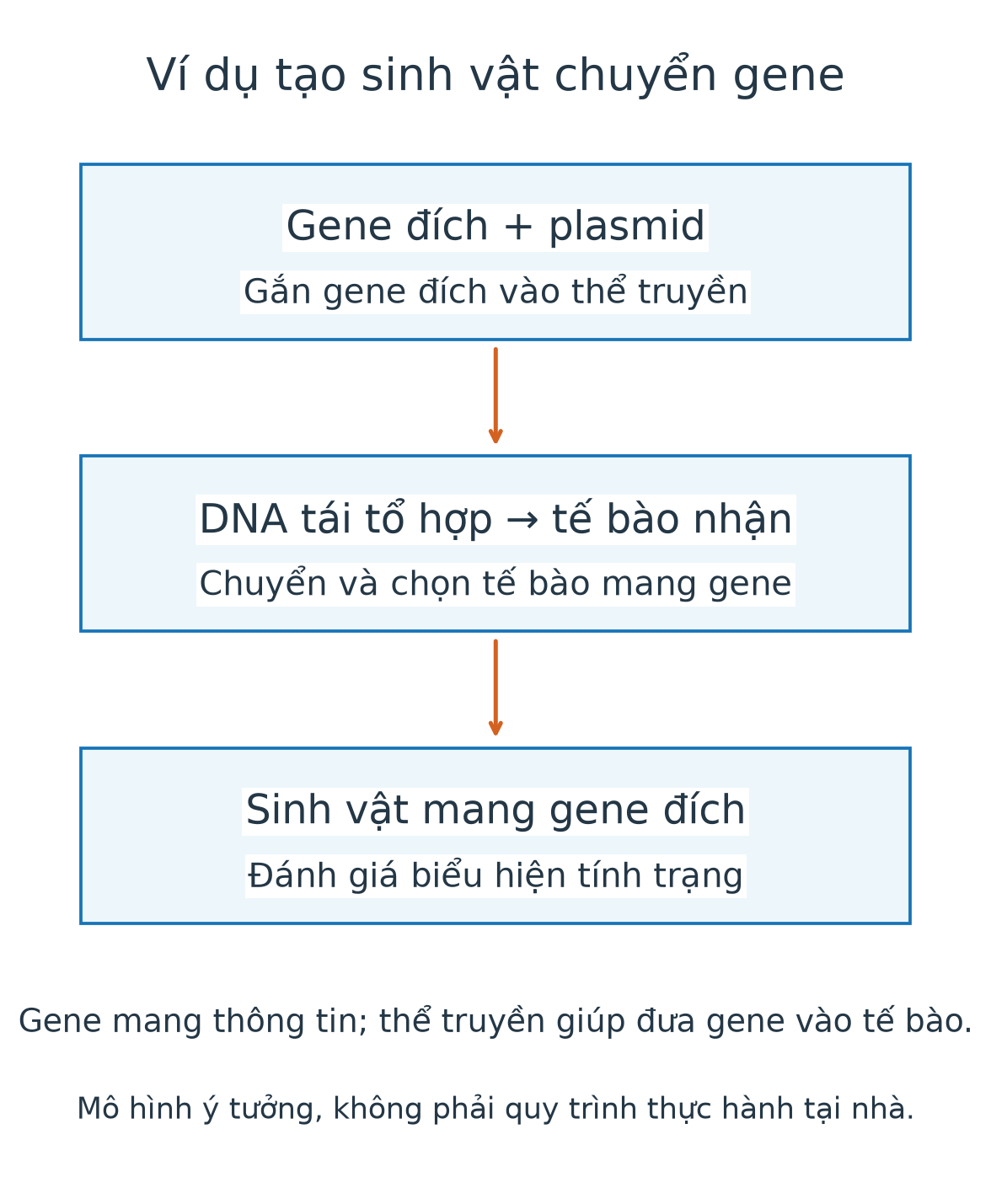 Mô hình gene đích gắn vào plasmid, DNA tái tổ hợp chuyển vào tế bào nhận, sau đó đánh giá sinh vật mang gene.