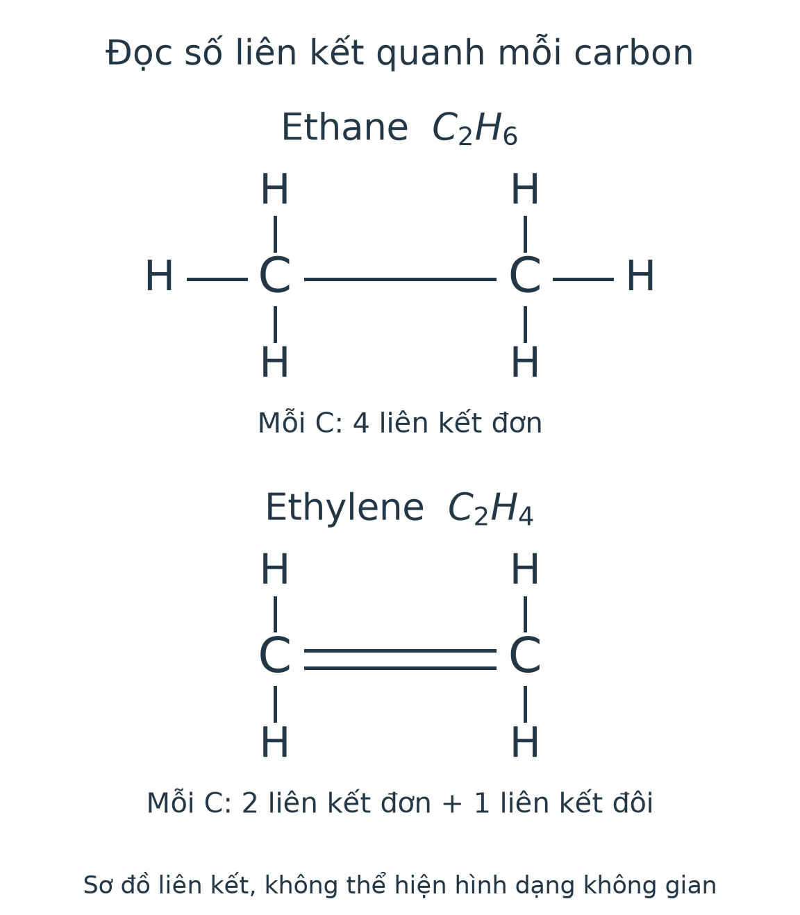 Ethane có sáu H và liên kết đơn C–C; ethylene có bốn H và liên kết đôi C=C. Mỗi C đủ hóa trị IV.