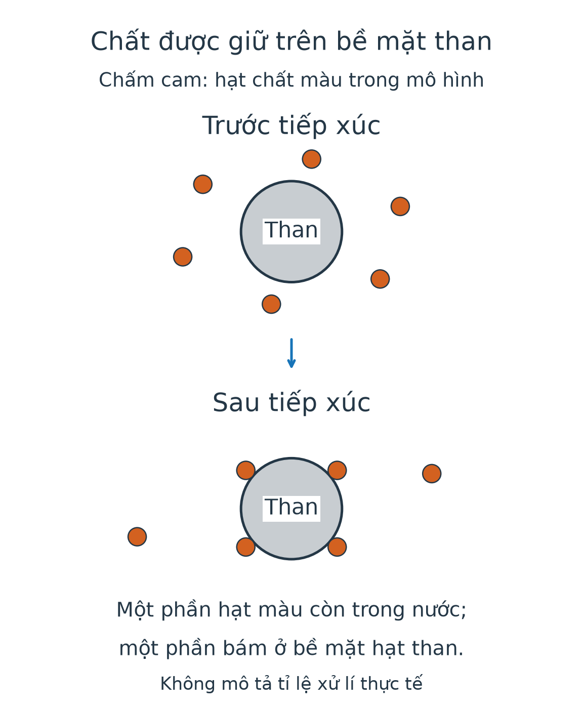 Mô hình hạt than trước và sau tiếp xúc: một số hạt chất màu được giữ trên bề mặt than, một số còn trong nước.