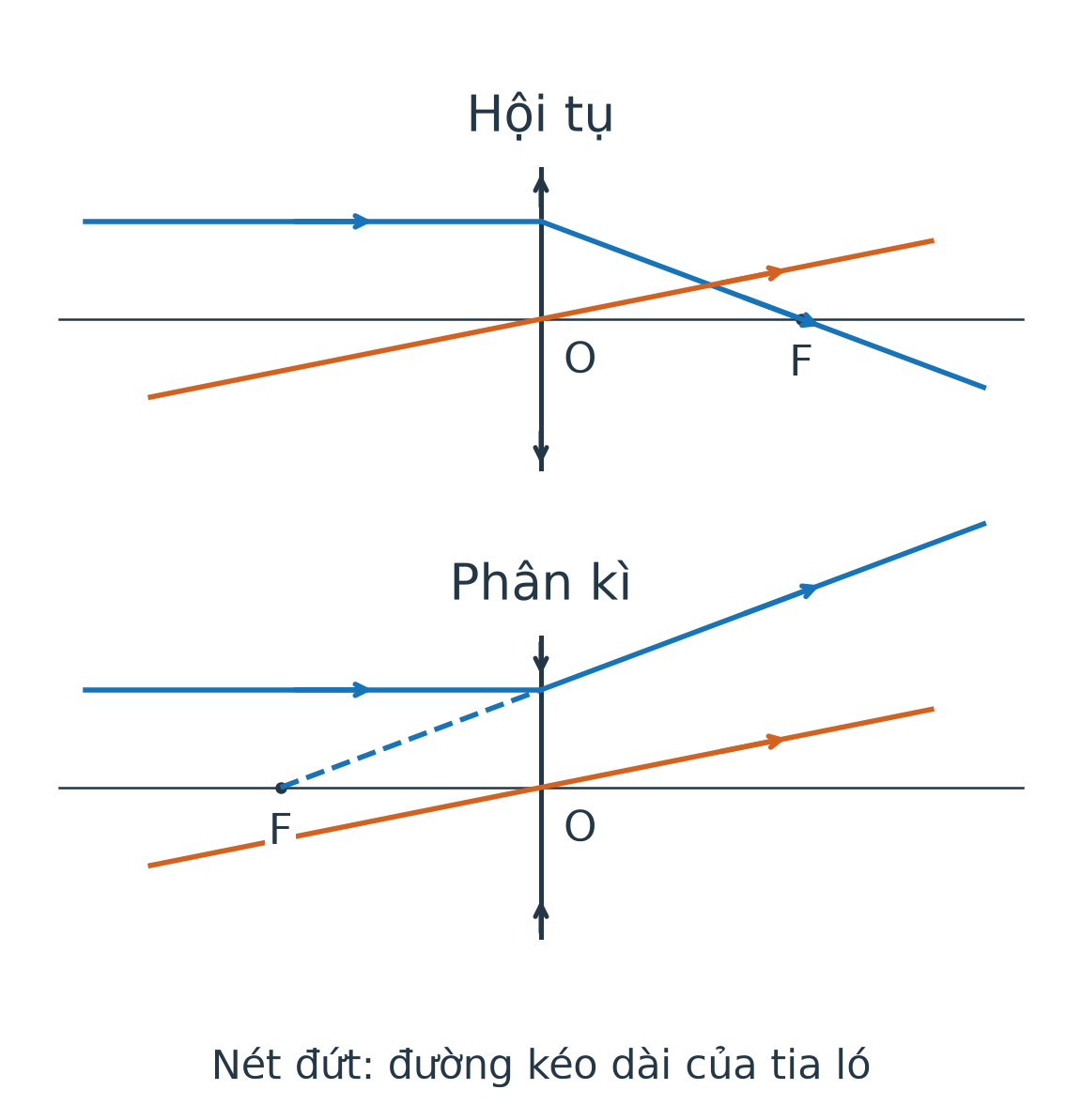 Hàng trên: tia song song qua kính hội tụ đi qua tiêu điểm sau kính. Hàng dưới: tia ló qua kính phân kì có đường kéo dài qua tiêu điểm trước kính.