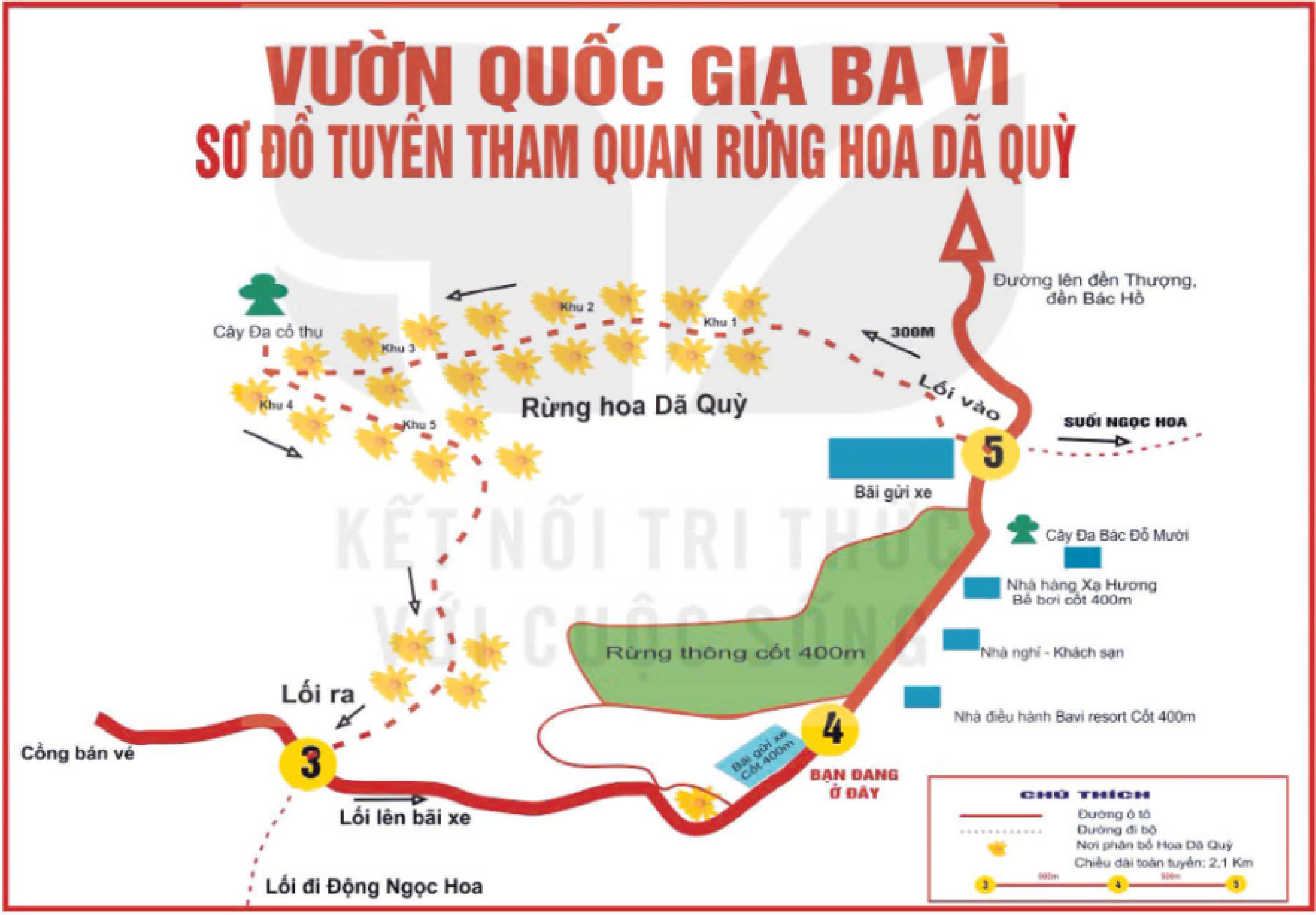 Sơ đồ tuyến tham quan rừng hoa Dã Quỳ ở Ba Vì trong SGK: tên địa điểm, vị trí đang đứng, đường, mũi tên, kí hiệu và chú thích.