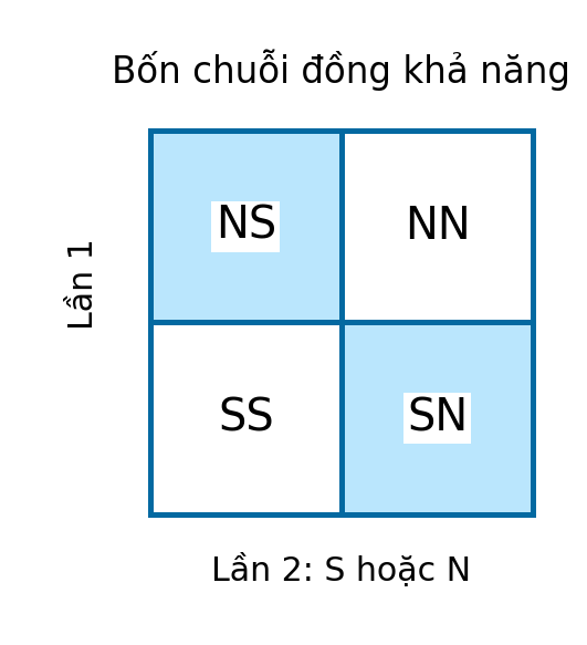 Bảng bốn chuỗi SS, SN, NS, NN của hai lần tung; SN và NS được phân biệt.