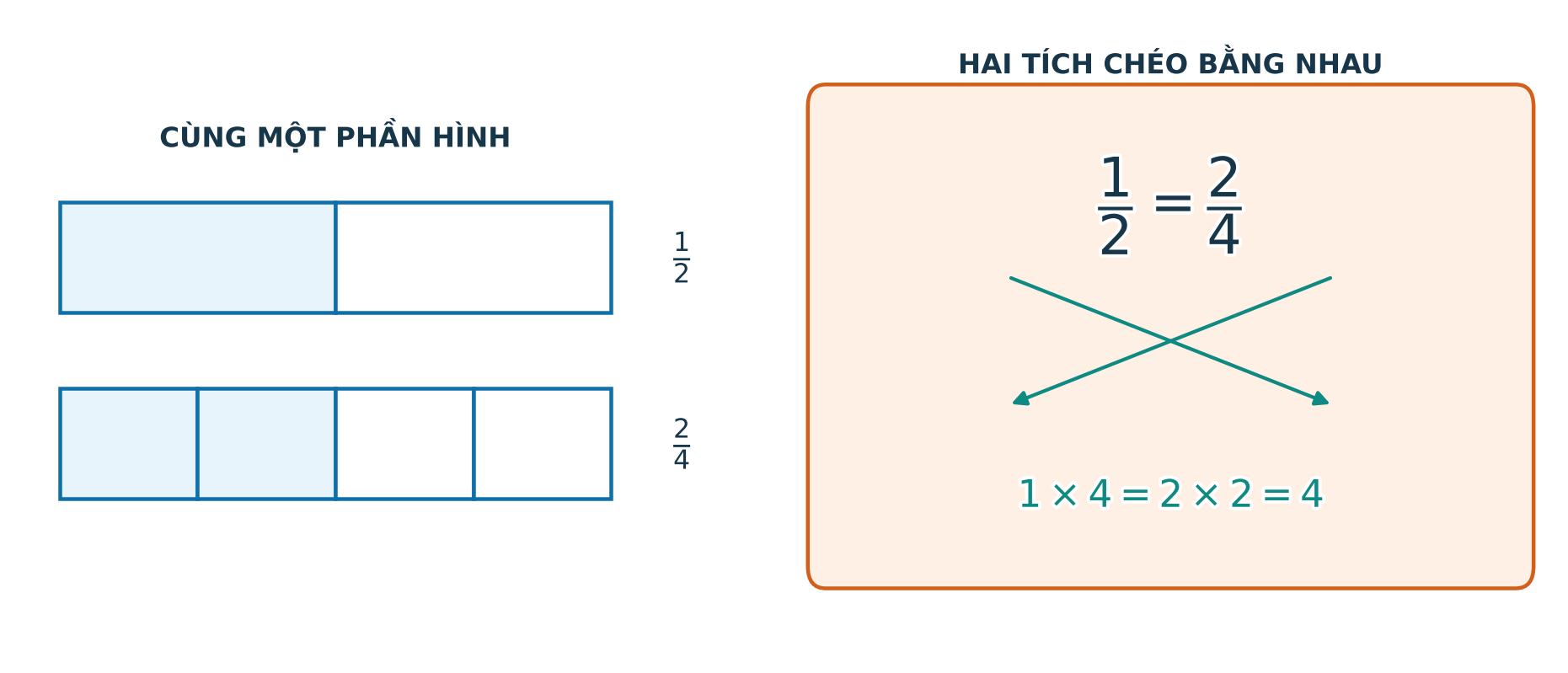 Mô hình một nửa bằng hai phần tư và quy tắc hai tích chéo bằng nhau