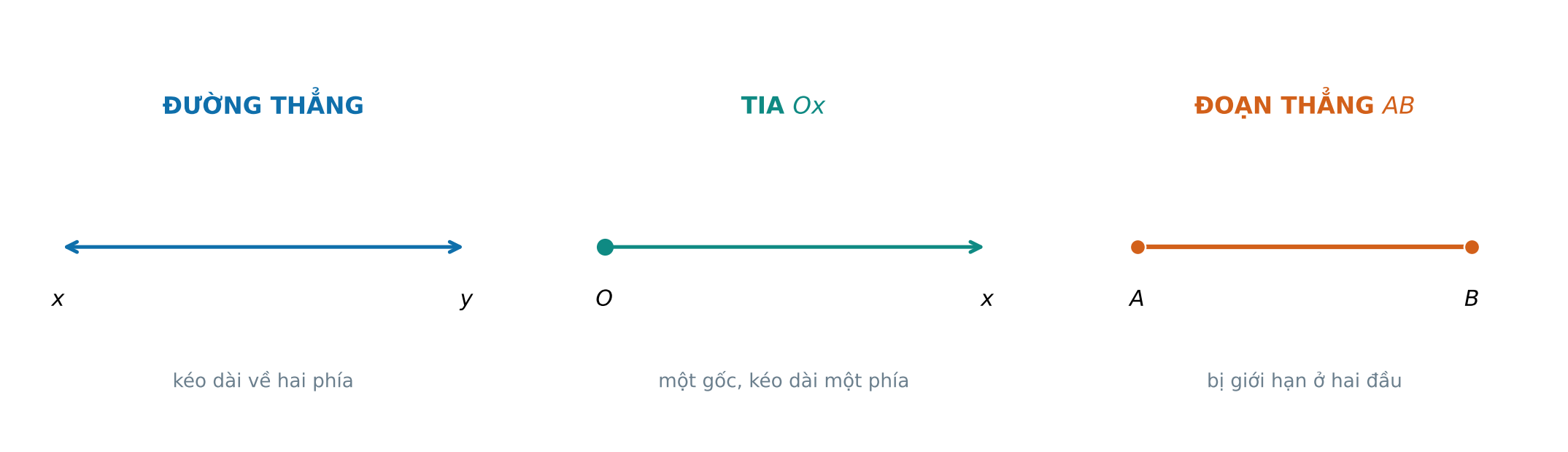 Đối chiếu đường thẳng xy, tia Ox và đoạn thẳng AB có hai đầu mút