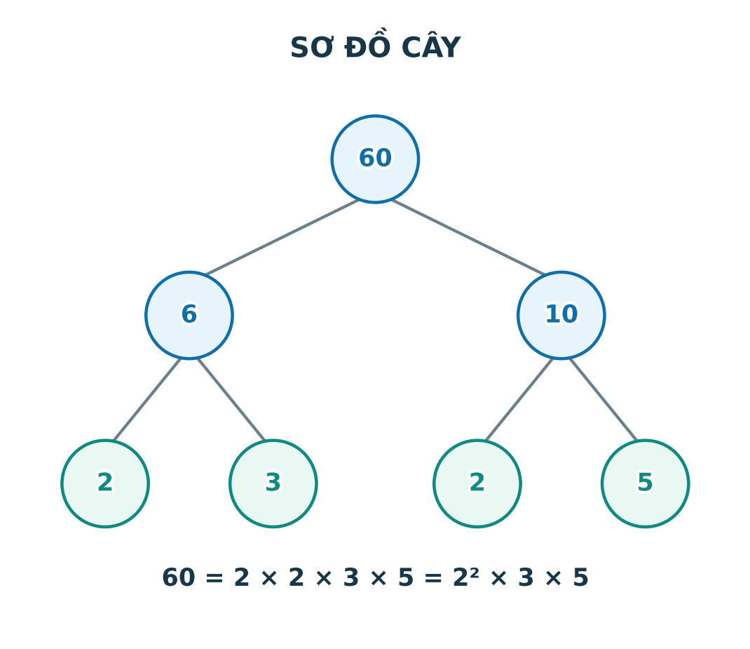 Sơ đồ cây phân tích 60 thành 2 nhân 2 nhân 3 nhân 5, viết gọn 2 mũ 2 nhân 3 nhân 5