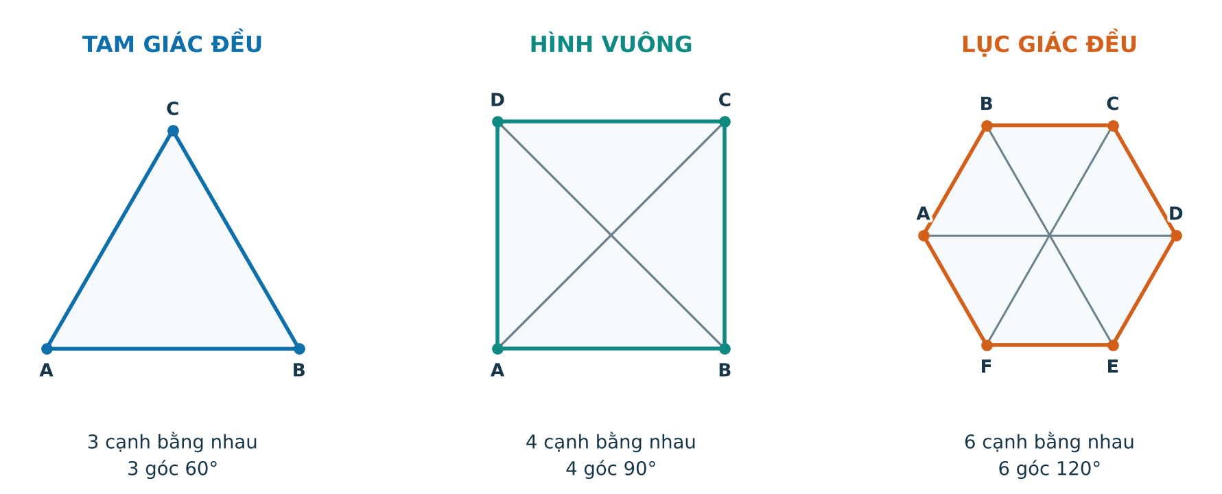 Tam giác đều, hình vuông và lục giác đều có nhãn cạnh, góc và đường chéo