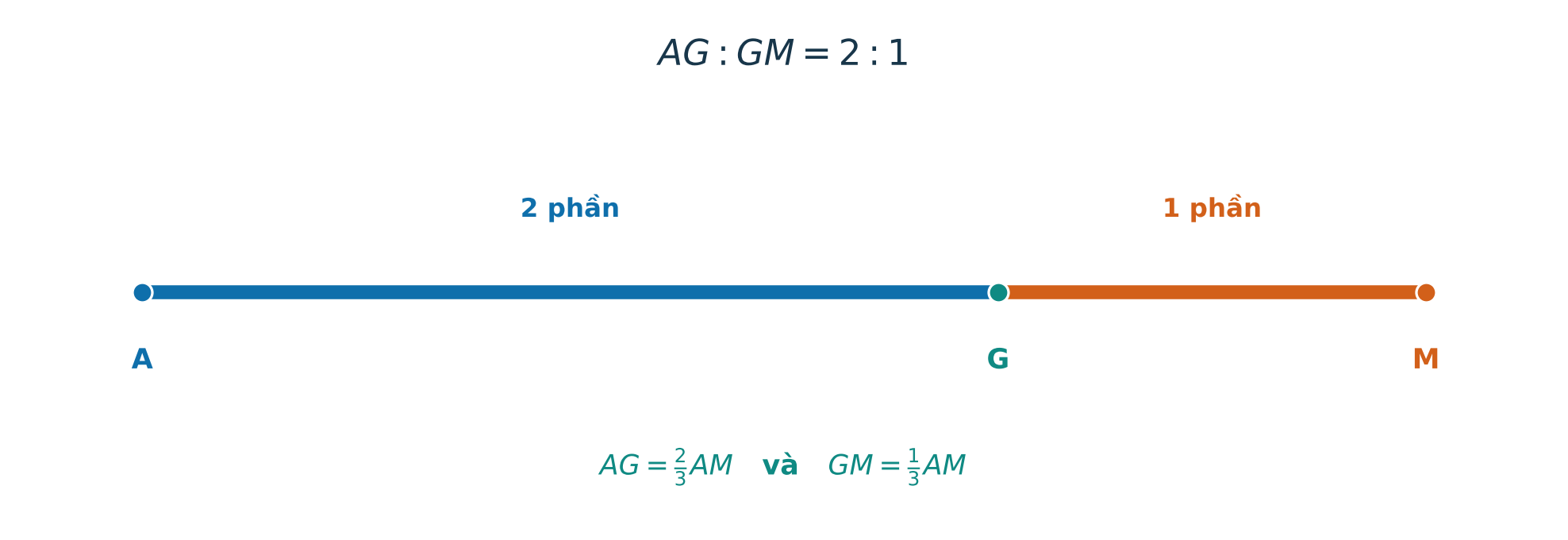 Trọng tâm G chia trung tuyến AM thành AG bằng hai phần và GM bằng một phần