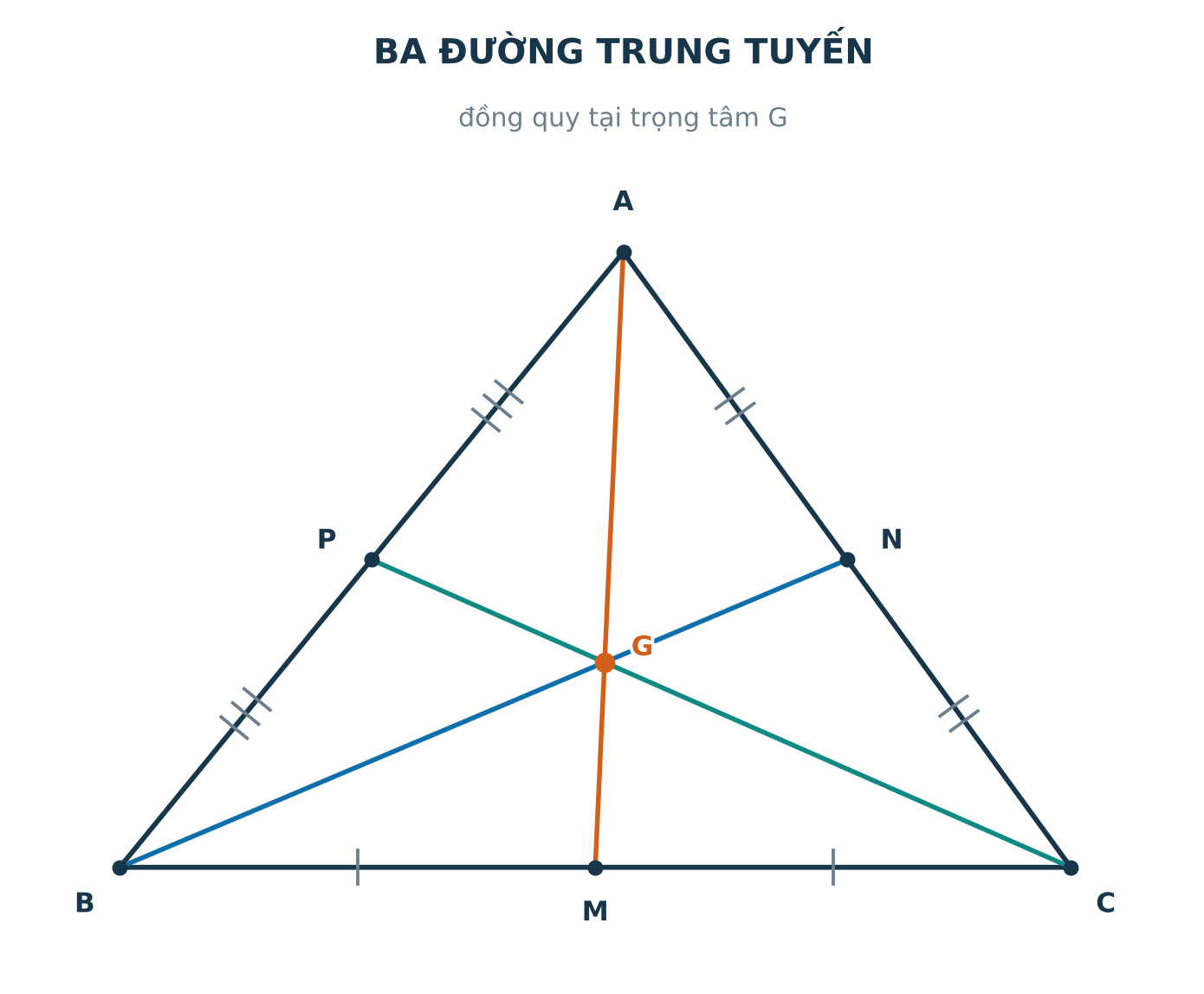 Ba đường trung tuyến AM BN CP đồng quy tại trọng tâm G