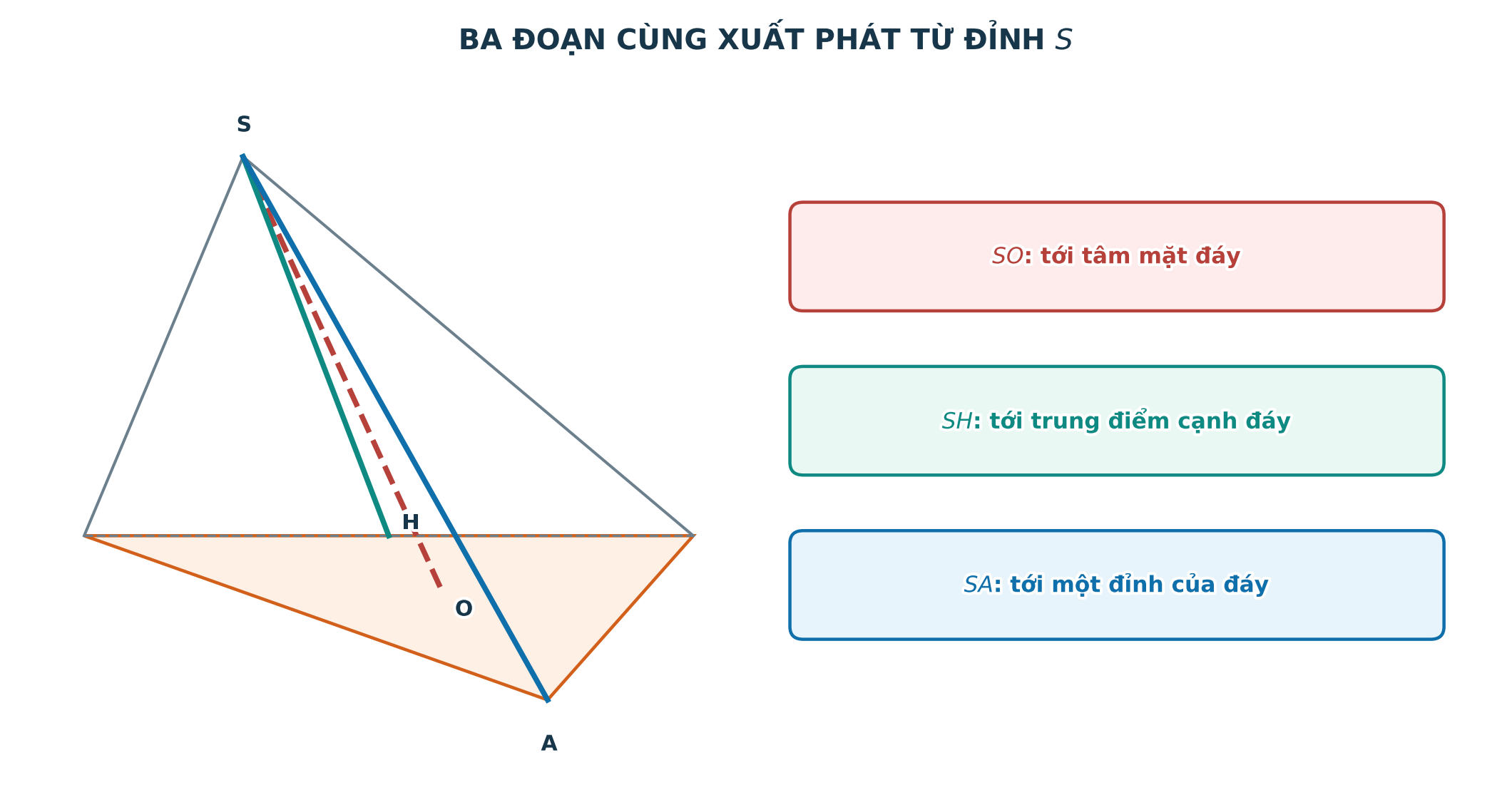 Phân biệt đường cao, trung đoạn và cạnh bên của hình chóp